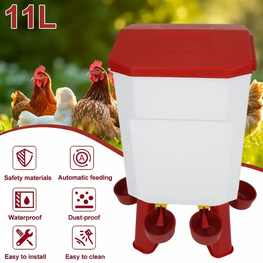 Fontaine à eau automatique 11L pour poulets et oies