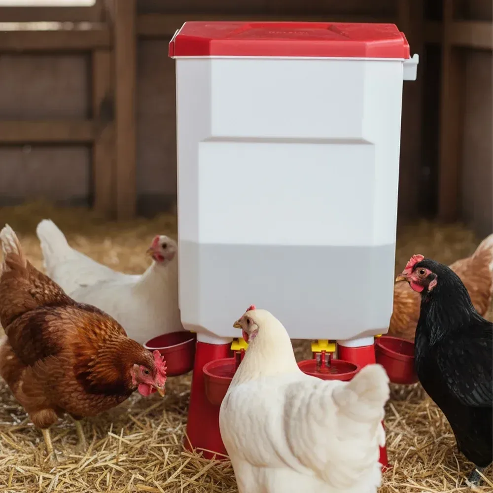 Fontaine à eau automatique 11L pour poulets et oies