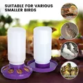 Fontaine à eau automatique 1L pour poulets et cailles – 4