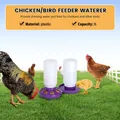 Fontaine à eau automatique 1L pour poulets et cailles – 6