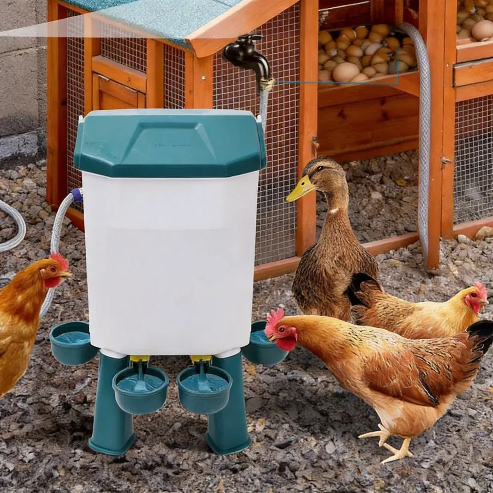 Fontaine à eau automatique grande capacité 7L pour volailles