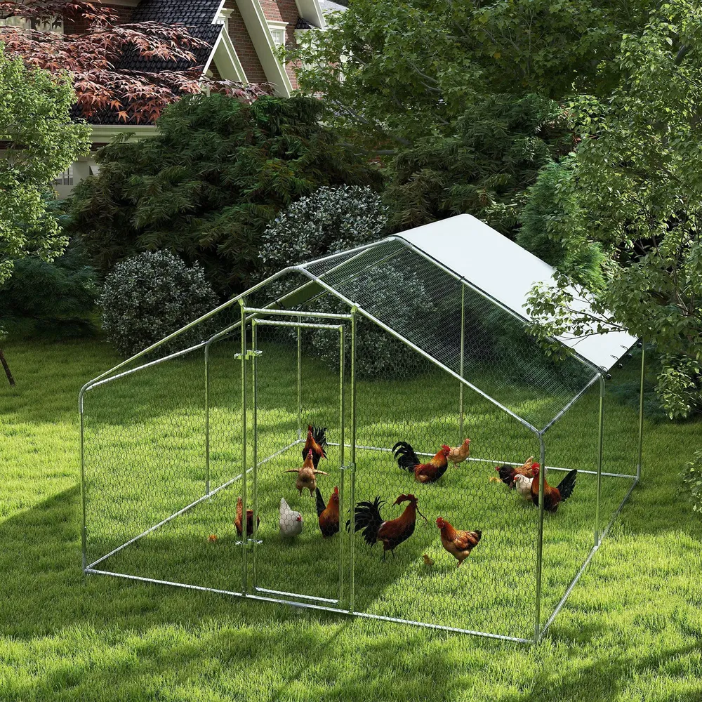 Grand poulailler métallique avec toit anti-UV pour 10-15 poules