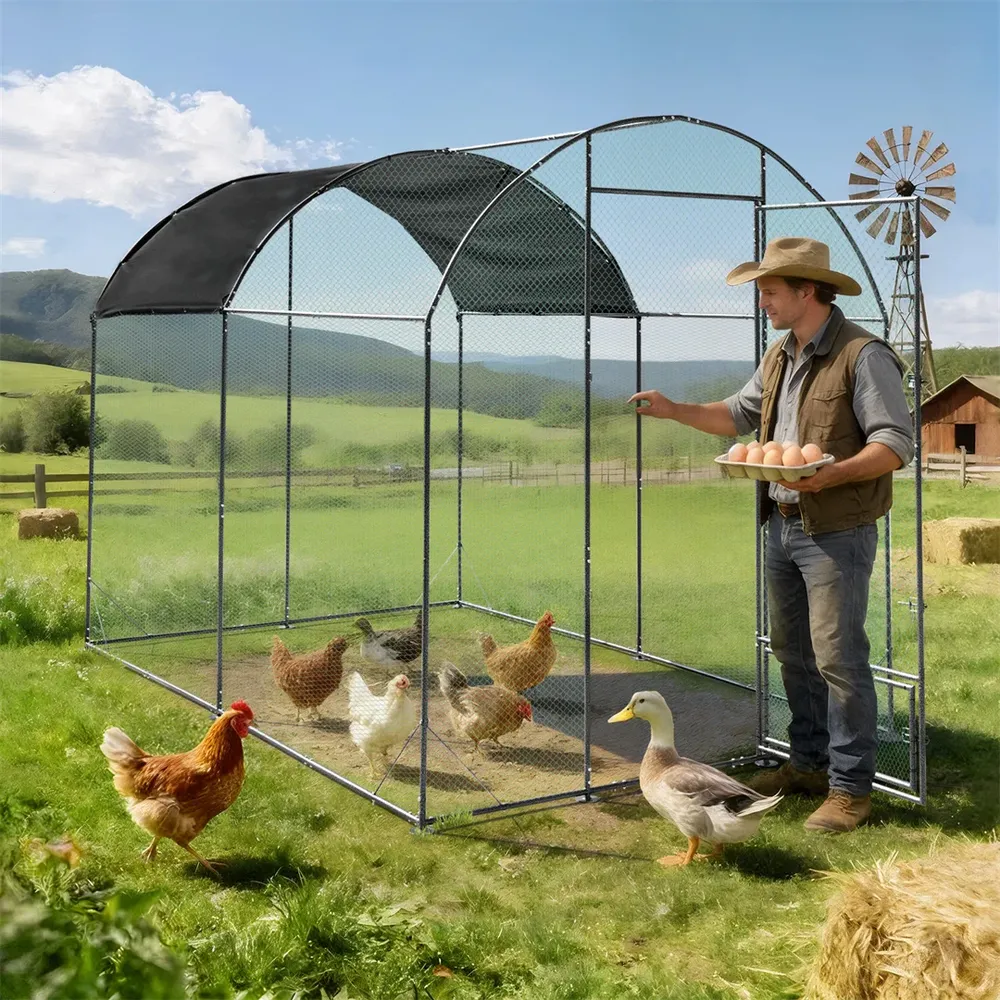 Grande cage extérieure en métal pour volailles et canards