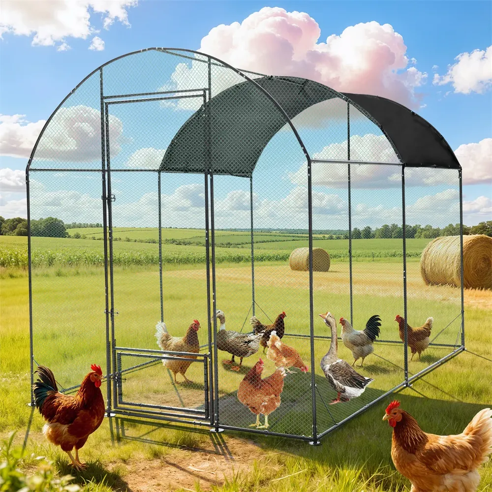 Grande cage extérieure en métal pour volailles et canards
