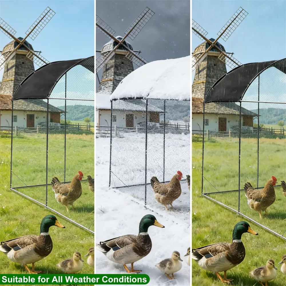 Grande cage extérieure en métal pour volailles et canards