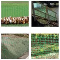 Grillage de jardin en plastique pour volailles et construction – 4