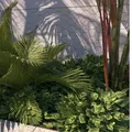 Grillage hexagonal vert PVC pour jardin et poulailler – 4