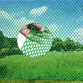 Grillage plastique jardin et volaille 0,8 cm – Couleur Green 0.8CM hole