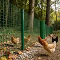 Grillage PVC jardin et poulailler vert – 3