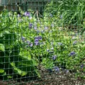 Grillage PVC jardin et poulailler vert – 4