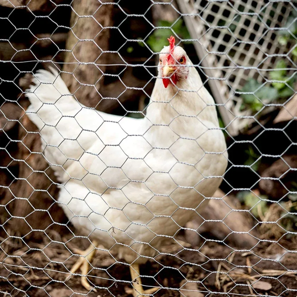 Grillage soudé jardin et volaille 25 m