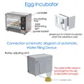 Incubateur 24 œufs rotation automatique contrôle tactile – 6