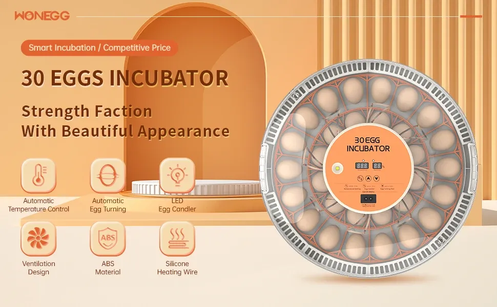 Incubateur 30 œufs retournement automatique contrôle température