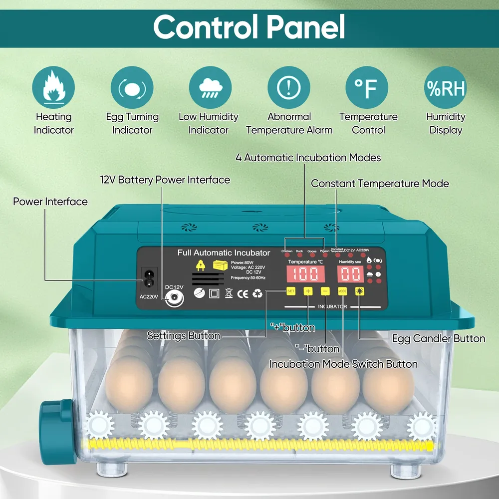Incubateur 36 œufs remplissage automatique eau humidité