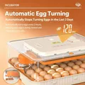 Incubateur 56 œufs retournement automatique double alimentation – 5