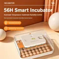 Incubateur 56 œufs retournement automatique double alimentation – 6