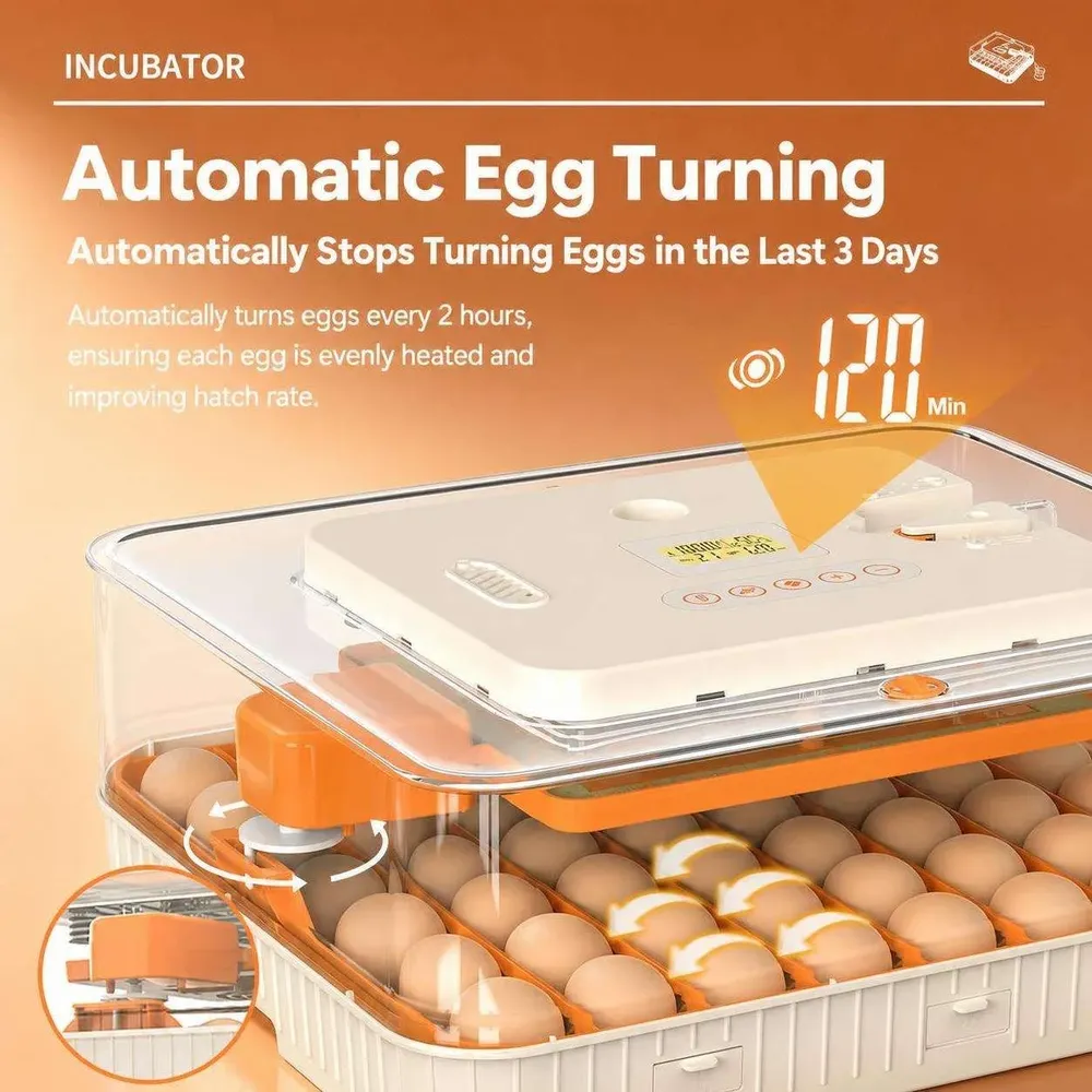 Incubateur 56 œufs retournement automatique double alimentation