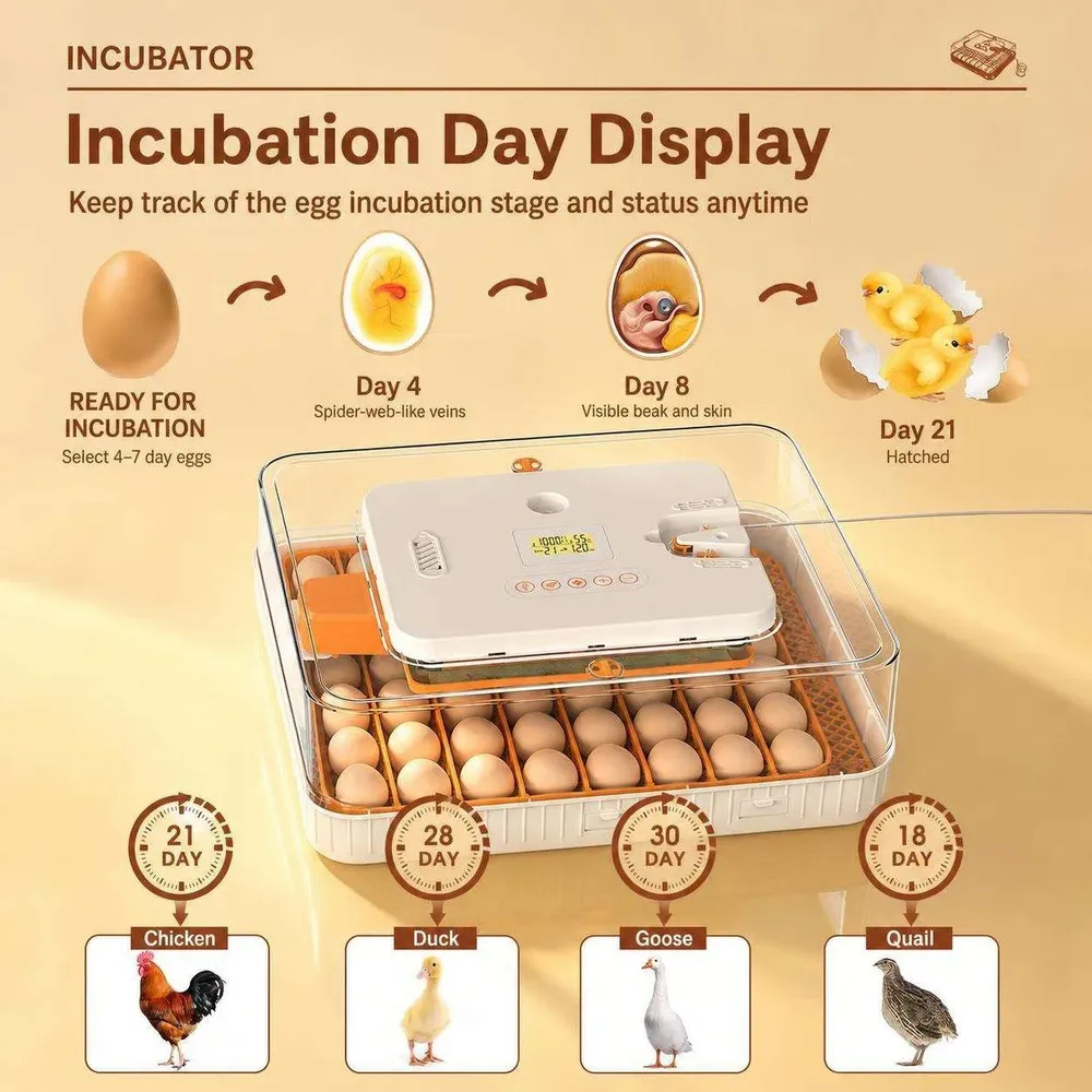 Incubateur 56 œufs retournement automatique double alimentation