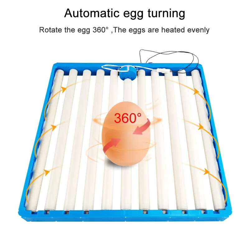Incubateur 70 œufs rotation 360° retourneur volaille