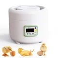 Incubateur 9 œufs simple opération intelligent domestique – Couleur 220V AU Plug