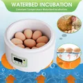 Incubateur 9 œufs simple opération intelligent domestique – 5