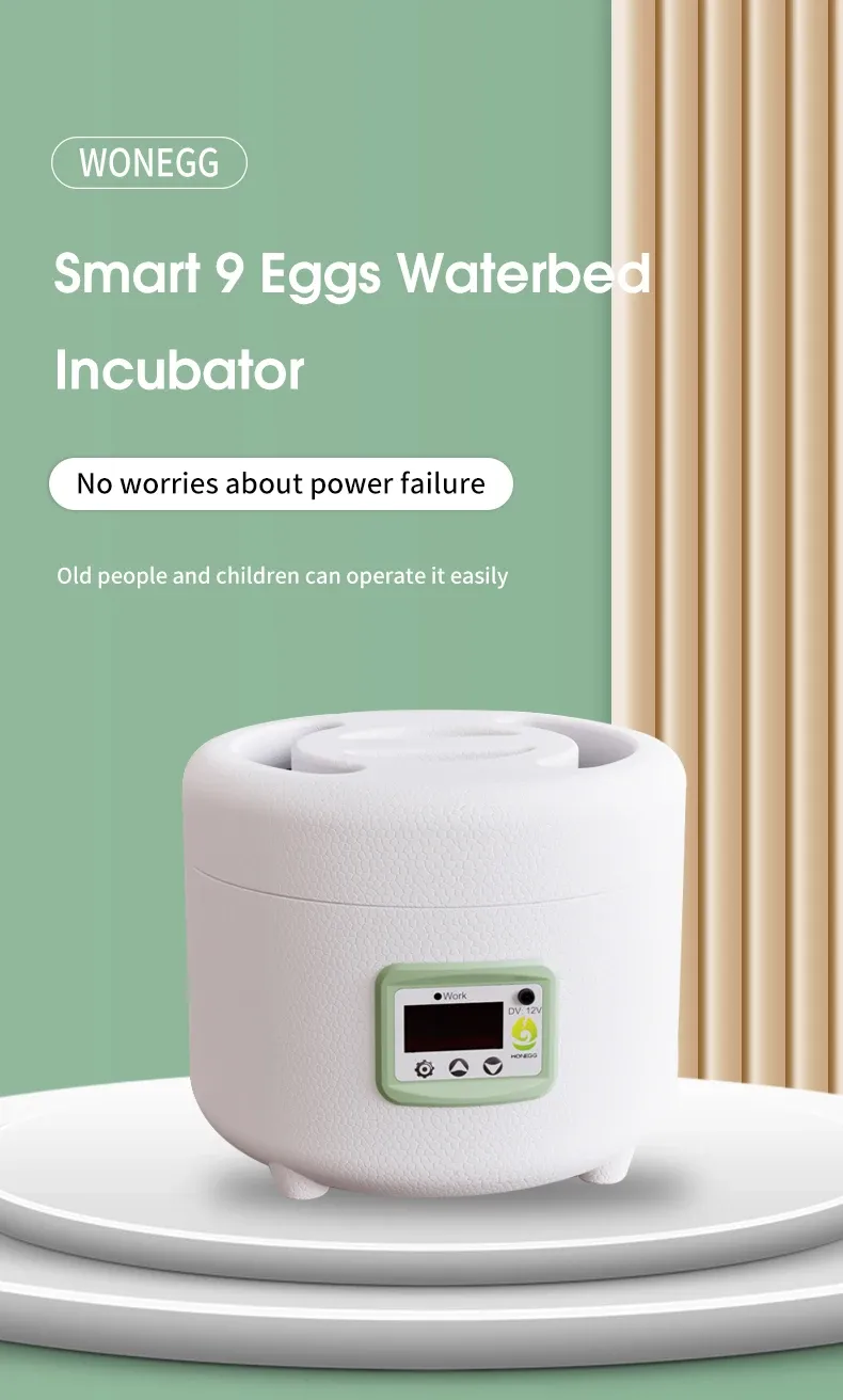 Incubateur 9 œufs simple opération intelligent domestique