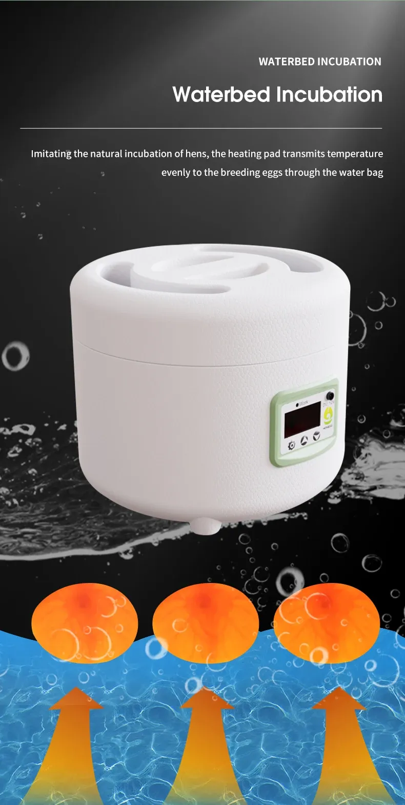 Incubateur 9 œufs simple opération intelligent domestique