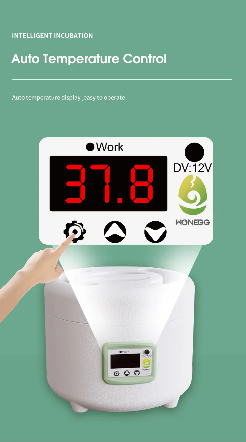 Incubateur 9 œufs simple opération intelligent domestique