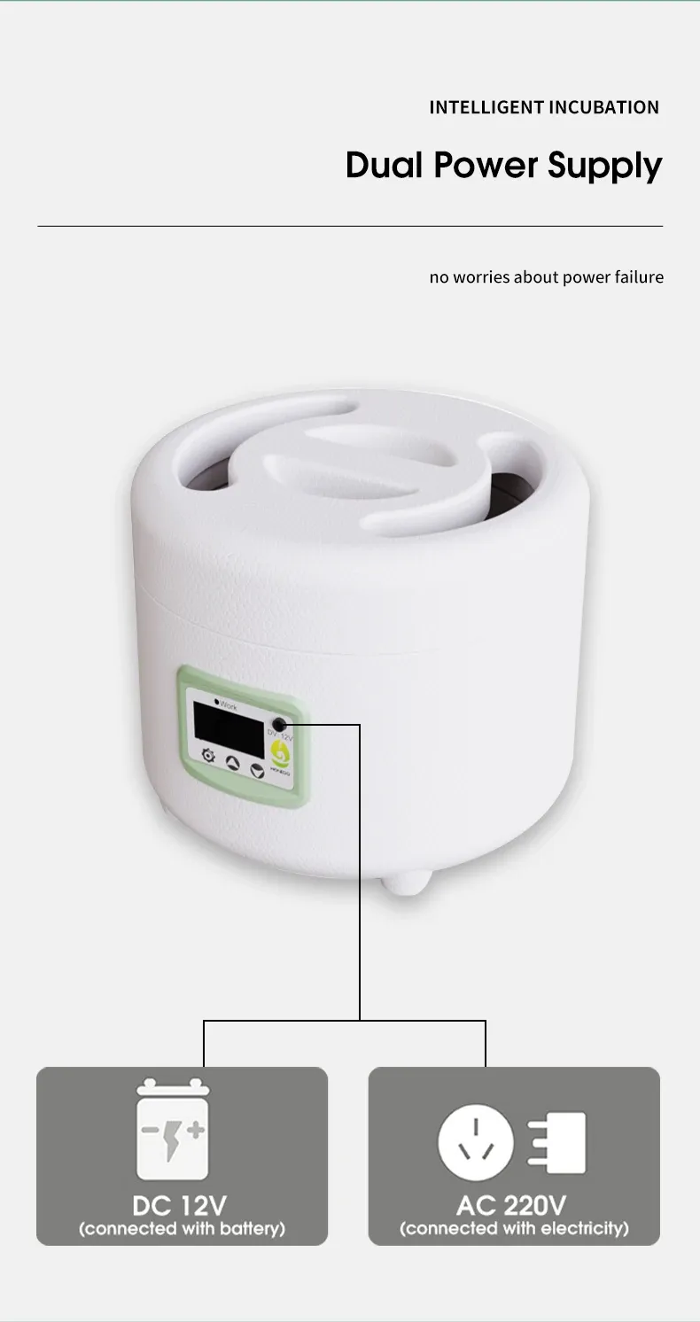 Incubateur 9 œufs simple opération intelligent domestique