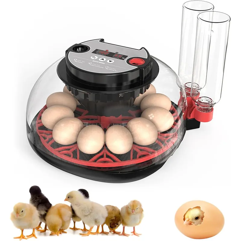 Incubateur automatique 12 œufs contrôle température humidité