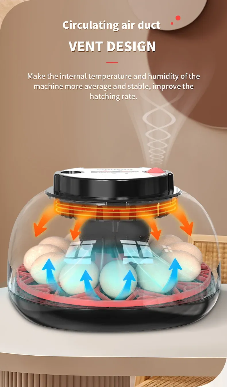 Incubateur automatique 12 œufs contrôle température humidité