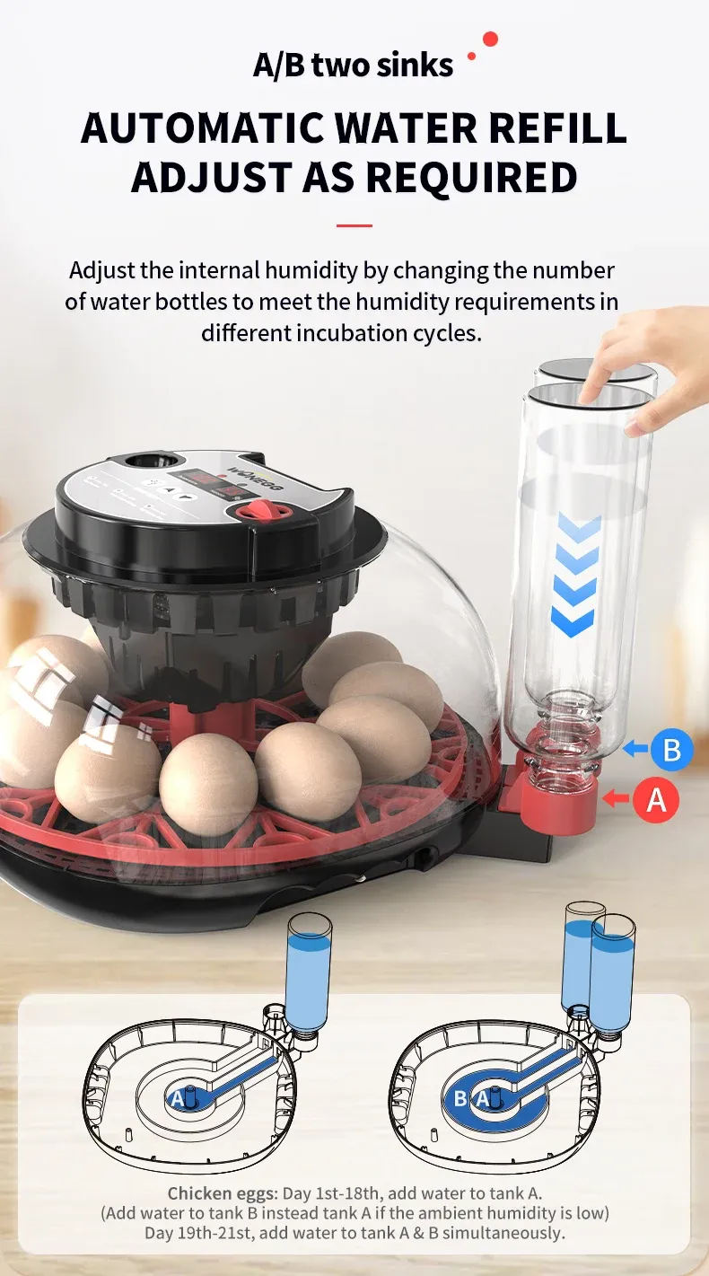 Incubateur automatique 12 œufs contrôle température humidité