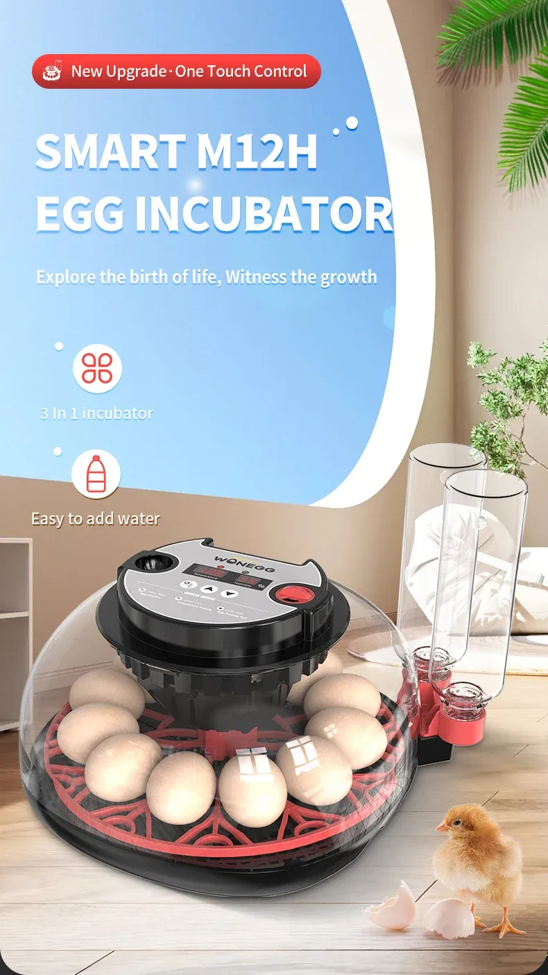 Incubateur automatique 12 œufs contrôle température humidité