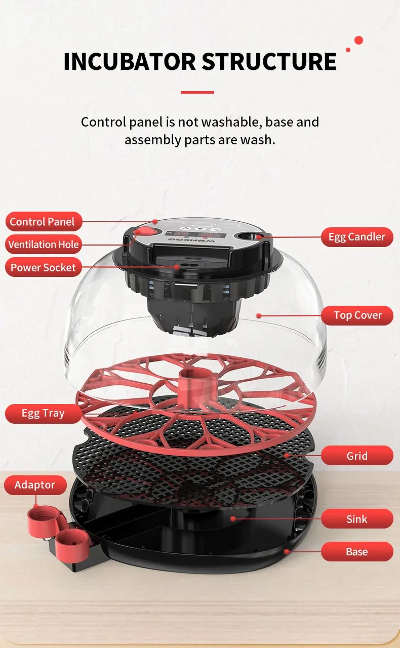 Incubateur automatique 12 œufs contrôle température humidité