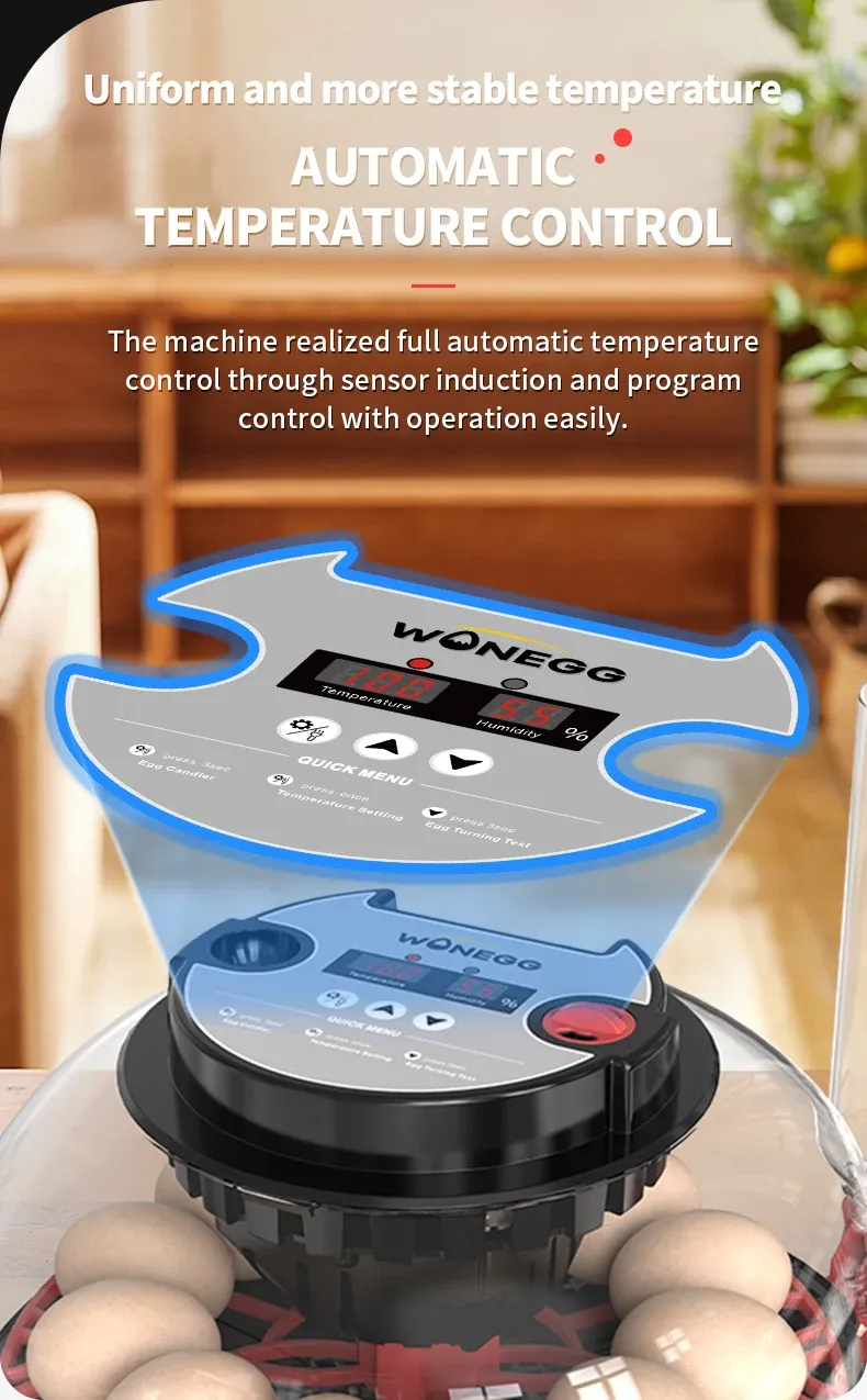 Incubateur automatique 12 œufs contrôle température humidité