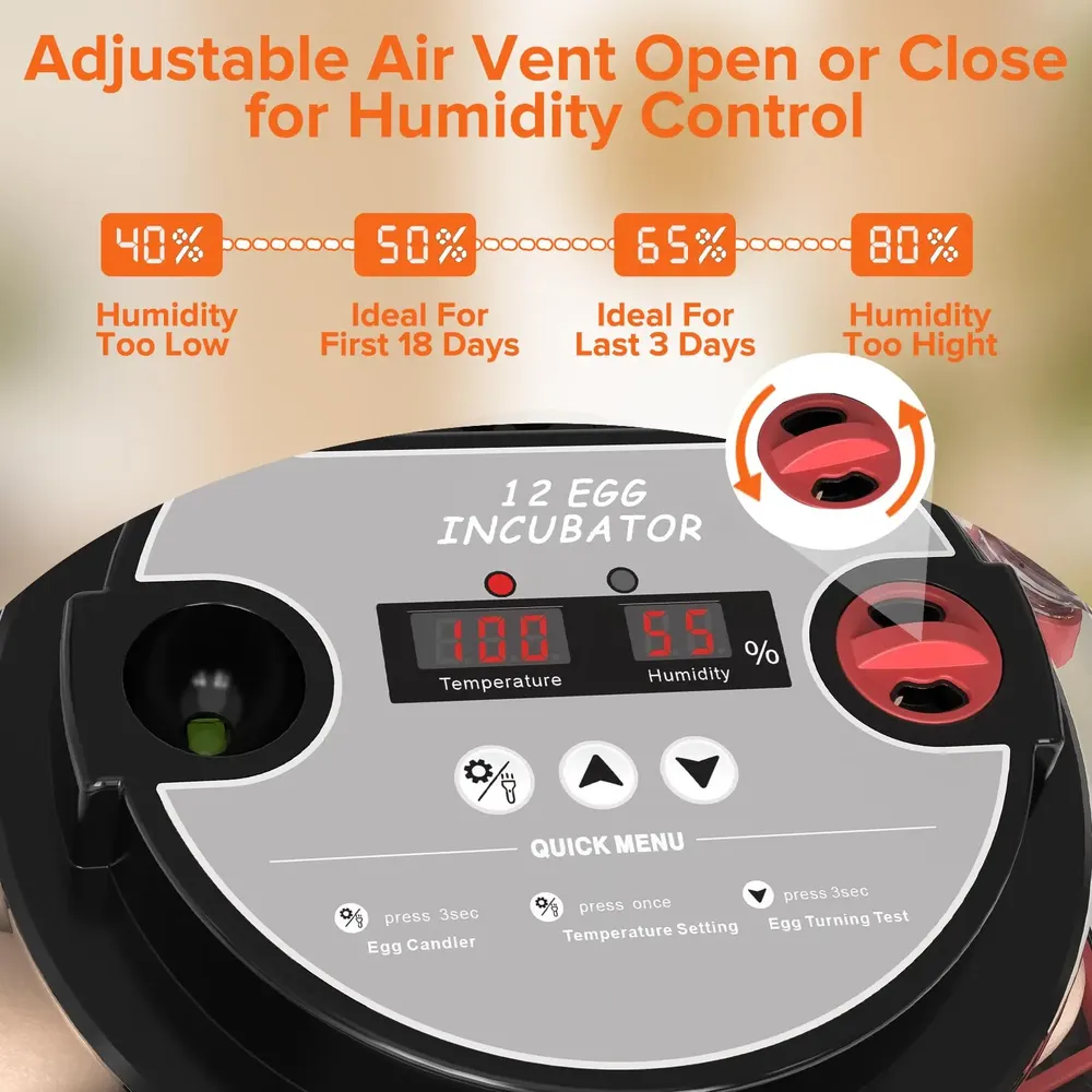 Incubateur automatique 12 œufs retournement numérique double eau