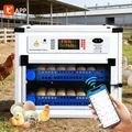 Incubateur automatique 136 à 204 œufs contrôle application – 1