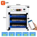 Incubateur automatique 136 à 204 œufs contrôle application – Couleur 204 Egg AC220V&DC12V