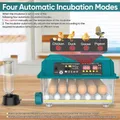 Incubateur automatique 36 œufs double alimentation – 2