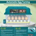 Incubateur automatique 36 œufs double alimentation – 5