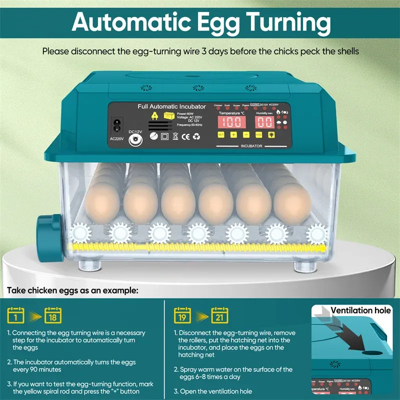 Incubateur automatique 36 œufs double alimentation