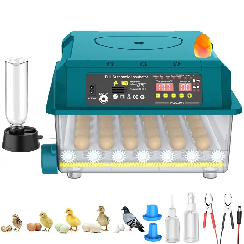 Incubateur automatique 36 œufs double alimentation