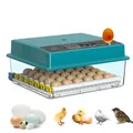 Incubateur automatique 36 œufs retournement contrôle humidité – Couleur 36 Eggs Single Power
