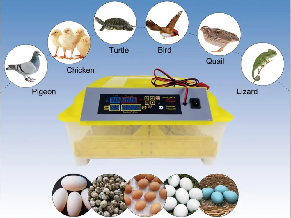 Incubateur automatique 48 places à contrôle de température
