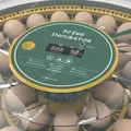 Incubateur automatique 52 œufs double alimentation pour canards – 5