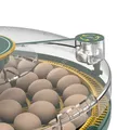 Incubateur automatique 52 œufs double alimentation pour canards – 6