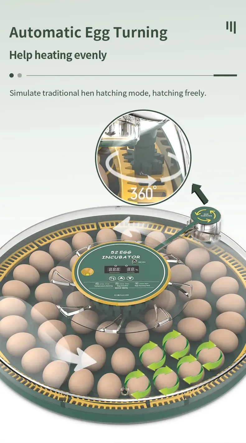 Incubateur automatique 52 œufs double alimentation pour canards