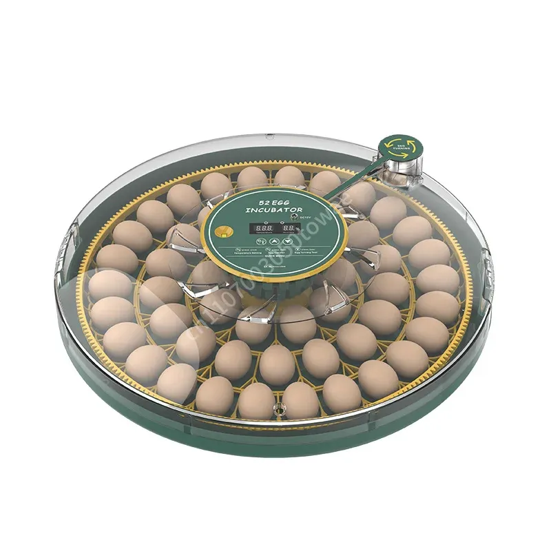 Incubateur automatique 52 œufs double alimentation pour canards