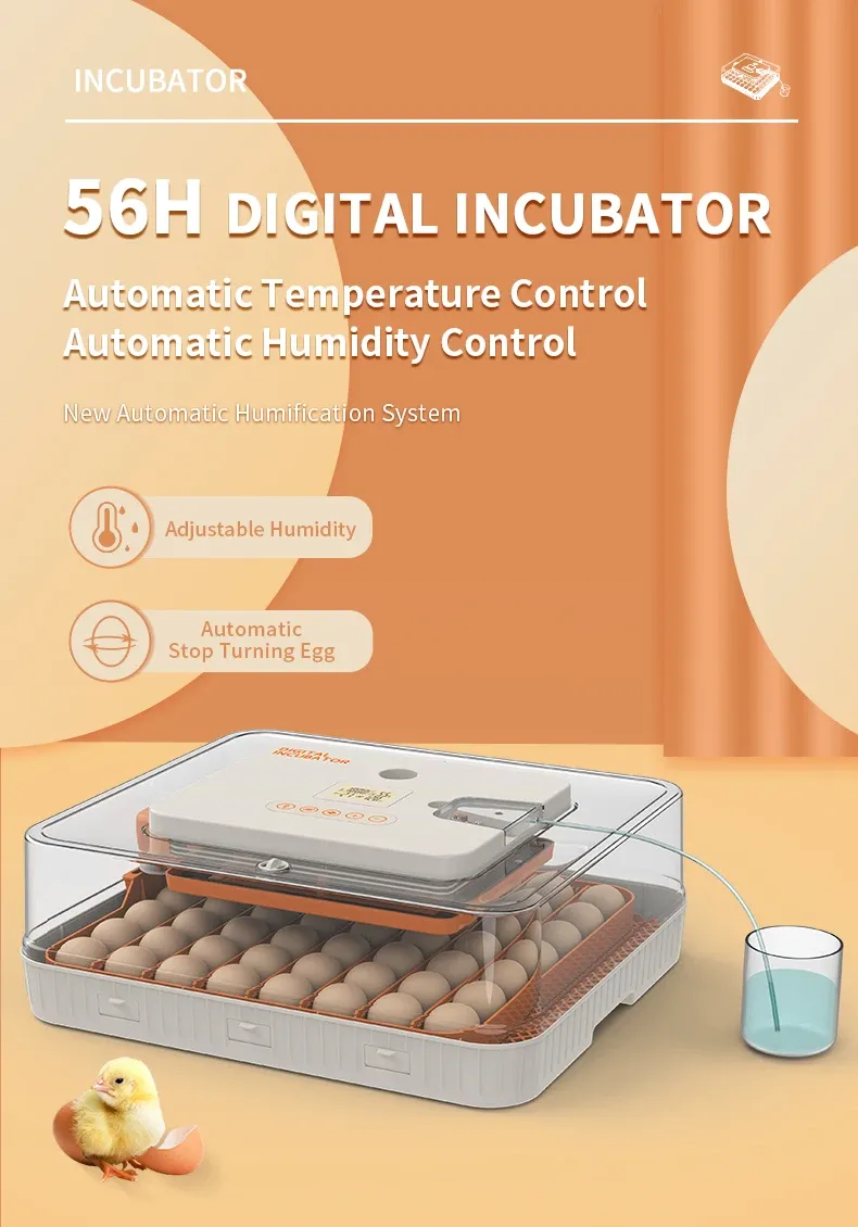 Incubateur automatique 56 œufs 220V/12V