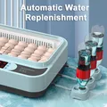 Incubateur automatique 6 œufs simple ou double alimentation – 4